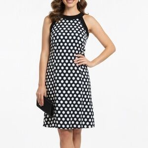 Ann Taylor  Polka Dot Midi Dress size 2